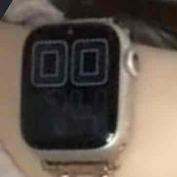 スヌゾロ🧜‍♀️🐼🐴🦩⛄️🐙のプロフィール画像